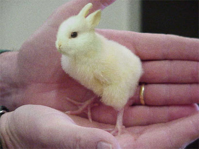 Happy_Easter.jpg